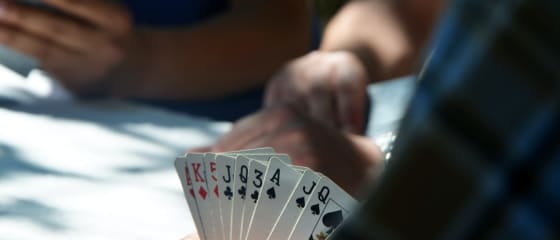 NovÃ© Å¾ivÃ© kasinovÃ© hry â€“ kterÃ© hrÃ¡t